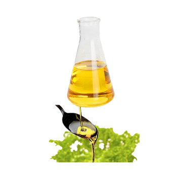 Hot Sale Omega 3 Algae Dha Oil In Bulk